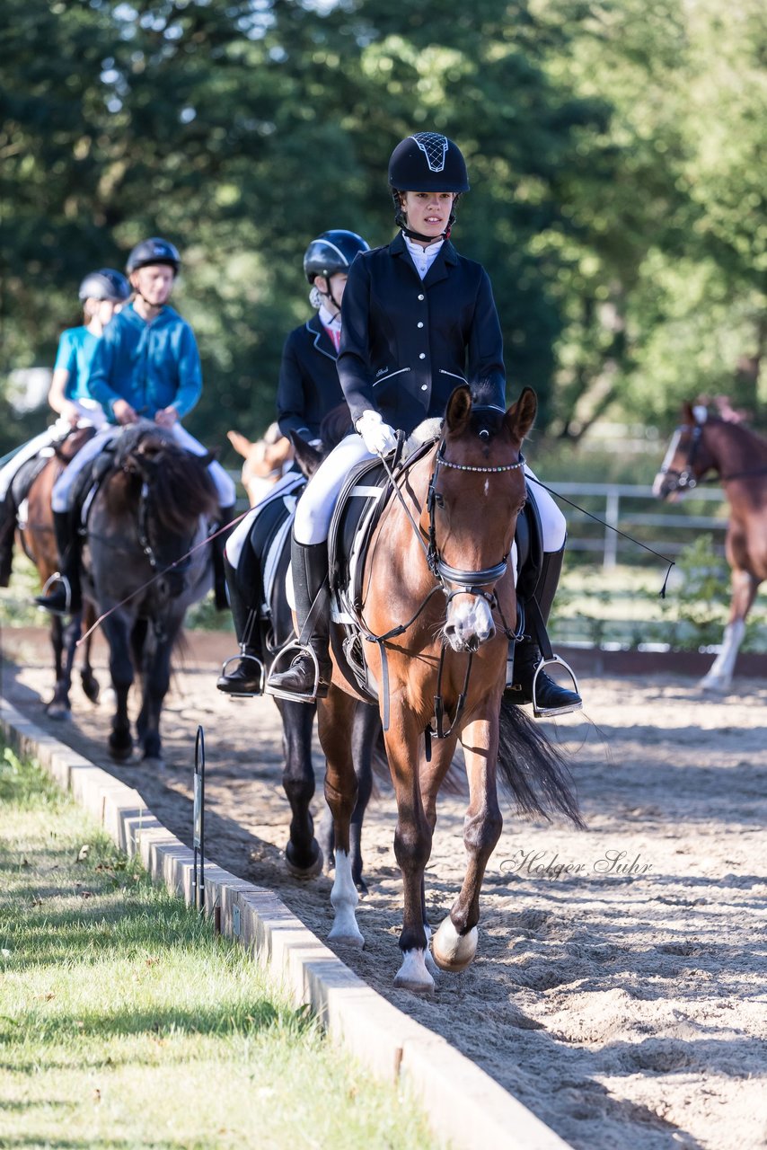 Bild 3 - Pony Akademie Turnier